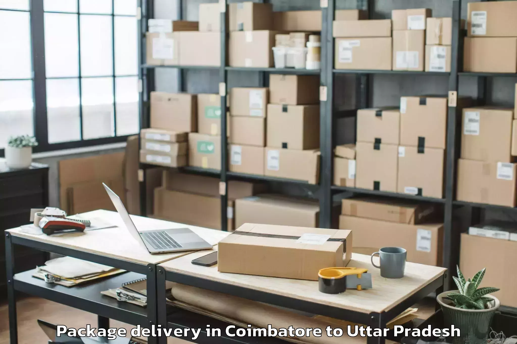 Reliable Coimbatore to Usehat Package Delivery